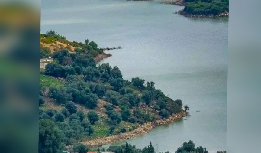 جندوبة ..استبشار بنزول الأمطار 1 جندوبة ..استبشار بنزول الأمطار